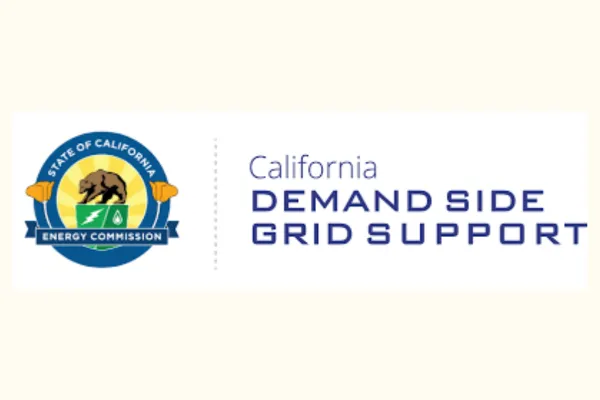 Unlocking Turnkey Distributed Storage Grid Services (DSGS) with Texture