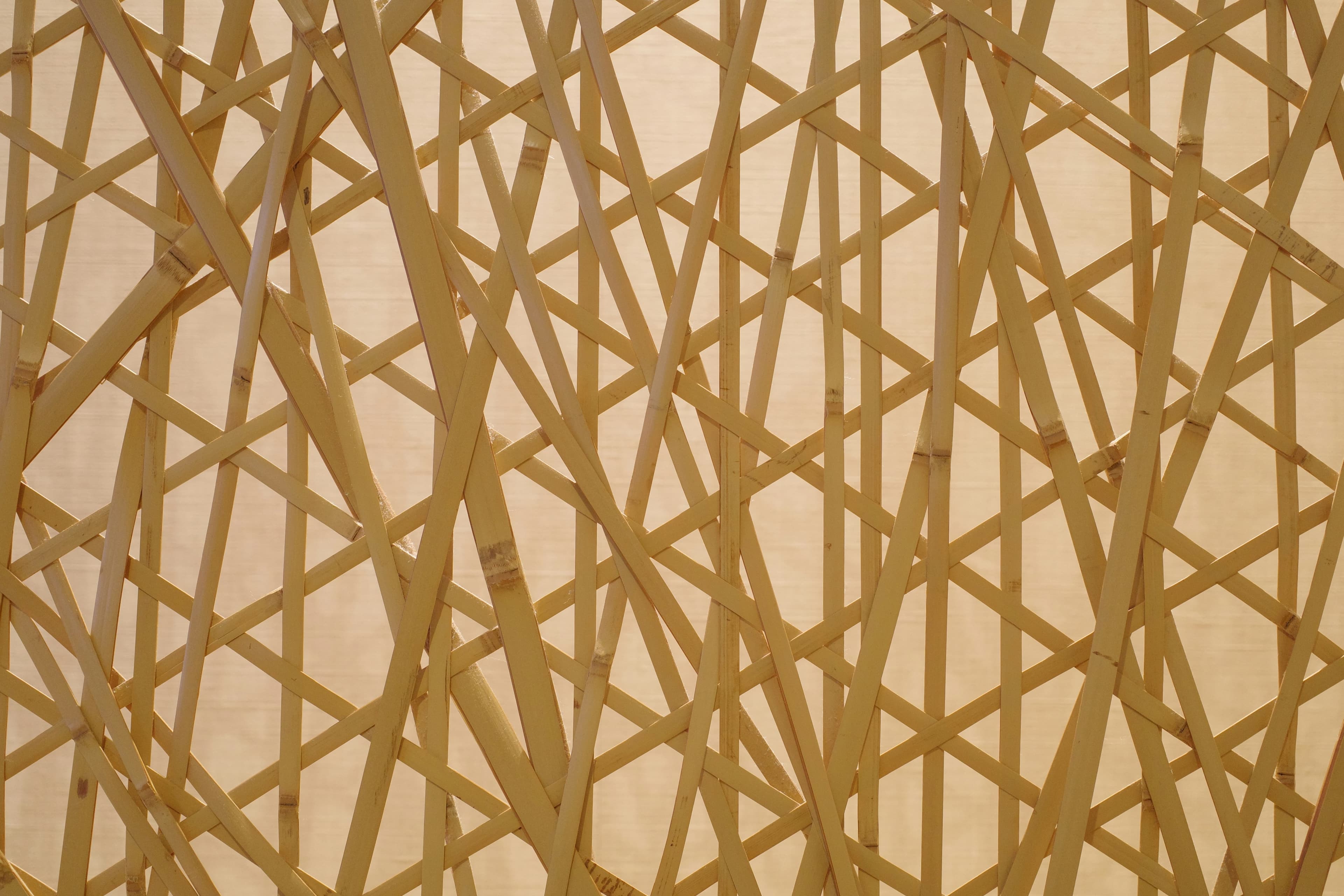 One Grid, One Trusted View—Powered by Texture.